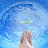 Approaches for the environment