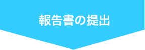報告書提出